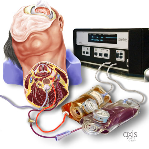 Copyright 2004 Axis Arts