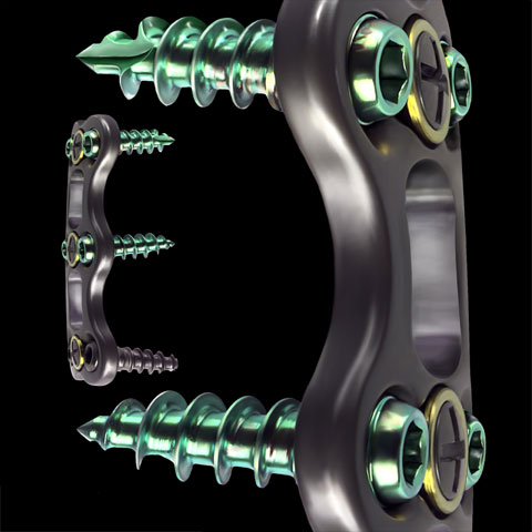 Copyright 2004 Axis Arts