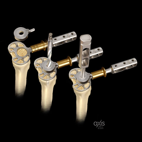 Copyright 2004 Axis Arts